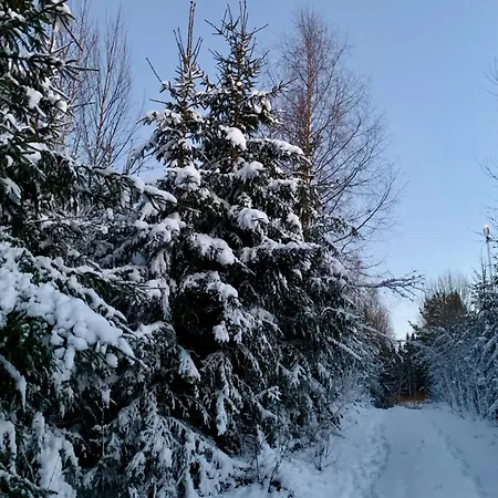 Moderni Vierasmoekki ミッケリ