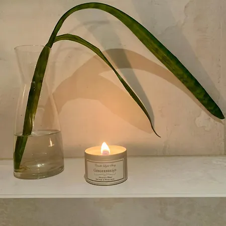 Moderni Vierasmoekki * Миккели