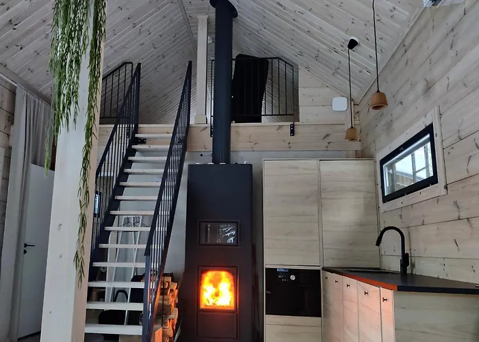 Moderni Vierasmoekki Миккели