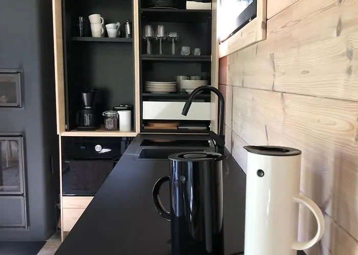 Moderni Vierasmoekki Миккели