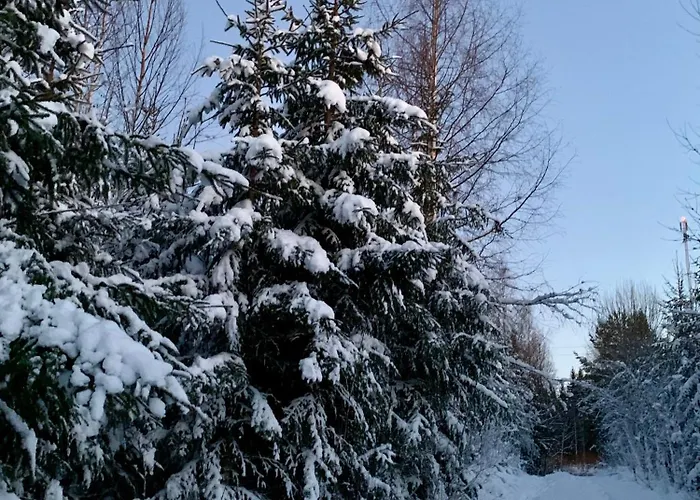 Moderni Vierasmoekki Миккели