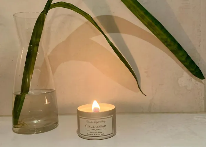 Moderni Vierasmoekki * Миккели