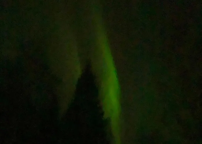 Moderni Vierasmoekki Миккели